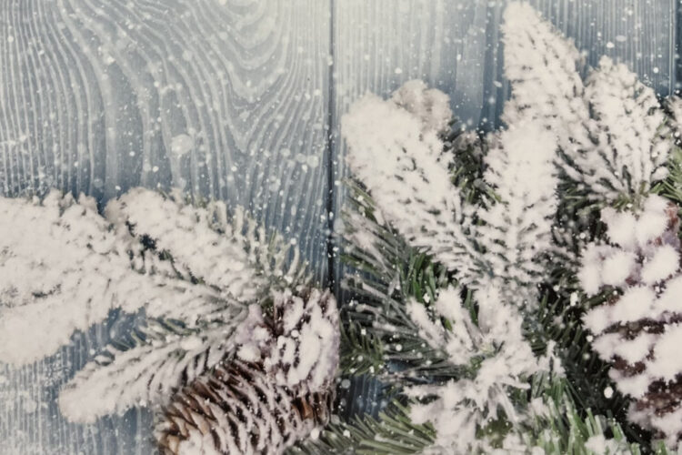 pinecone winter background